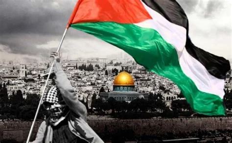 احداث فلسطين اليوم مباشر